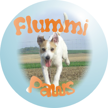 Flummi Paws